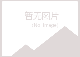 宁都县冰夏建设有限公司